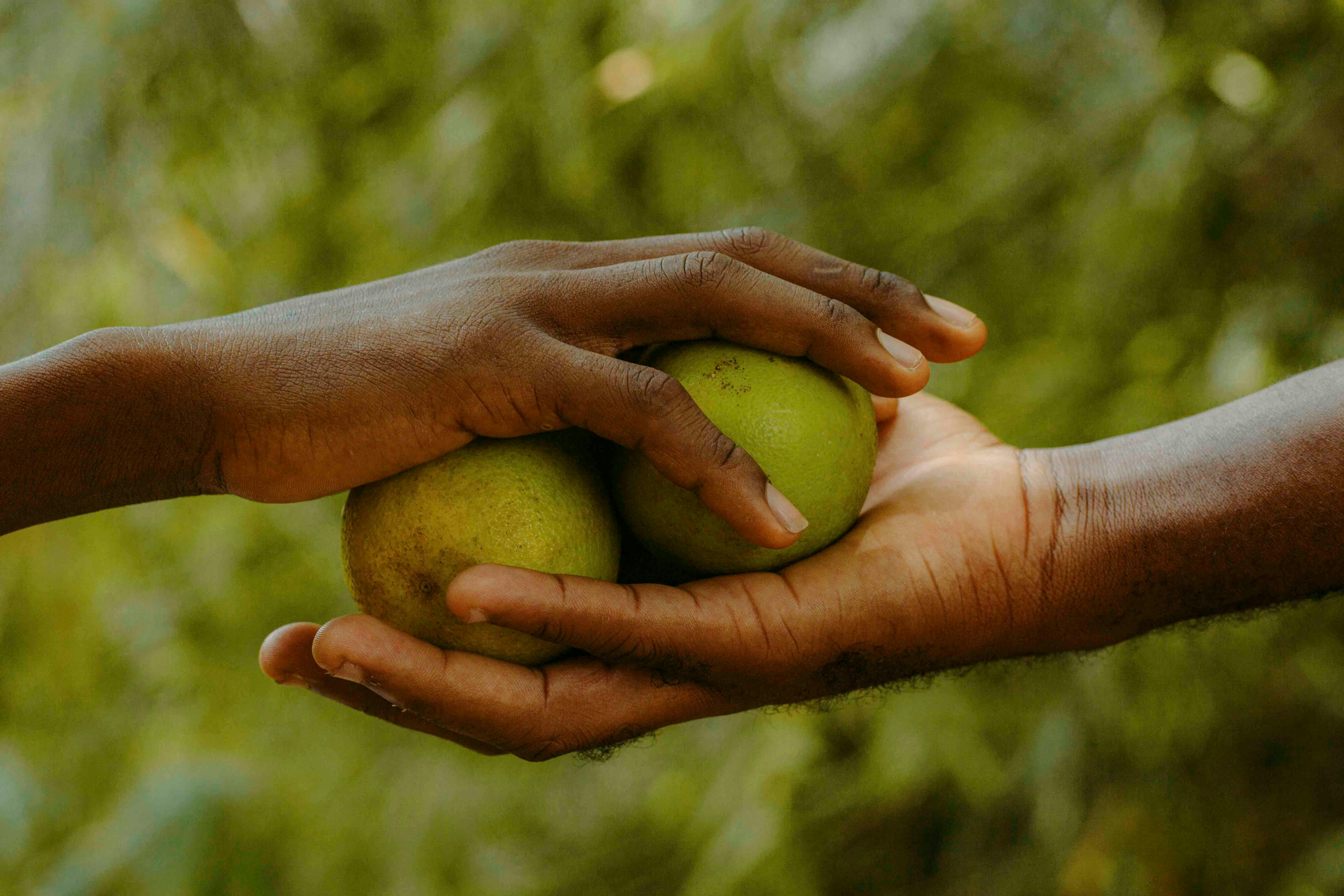 Çalışan deneyimi ve insan sermayesi yönetimi