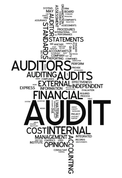 audit-denetim