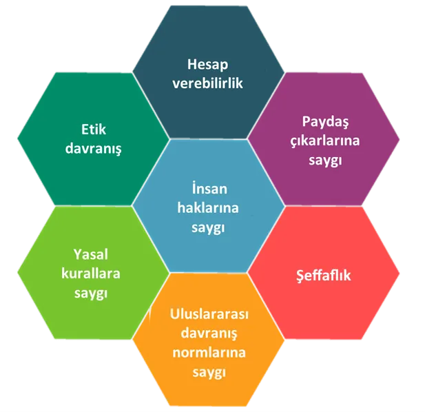 iso26000-temel-ilkeler