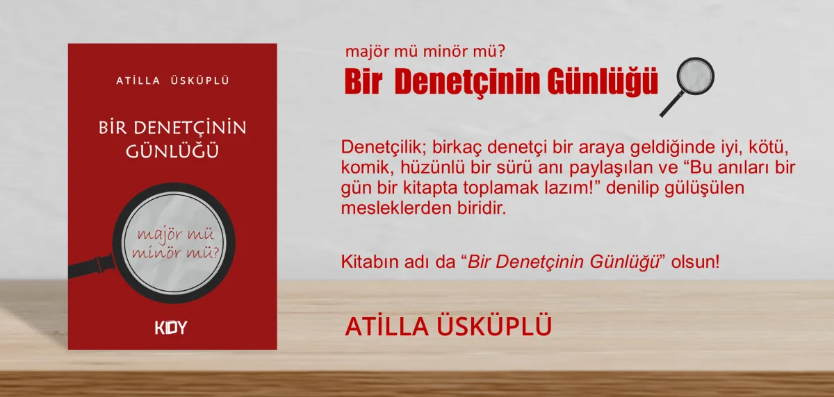 Bir Denetçinin Günlüğü